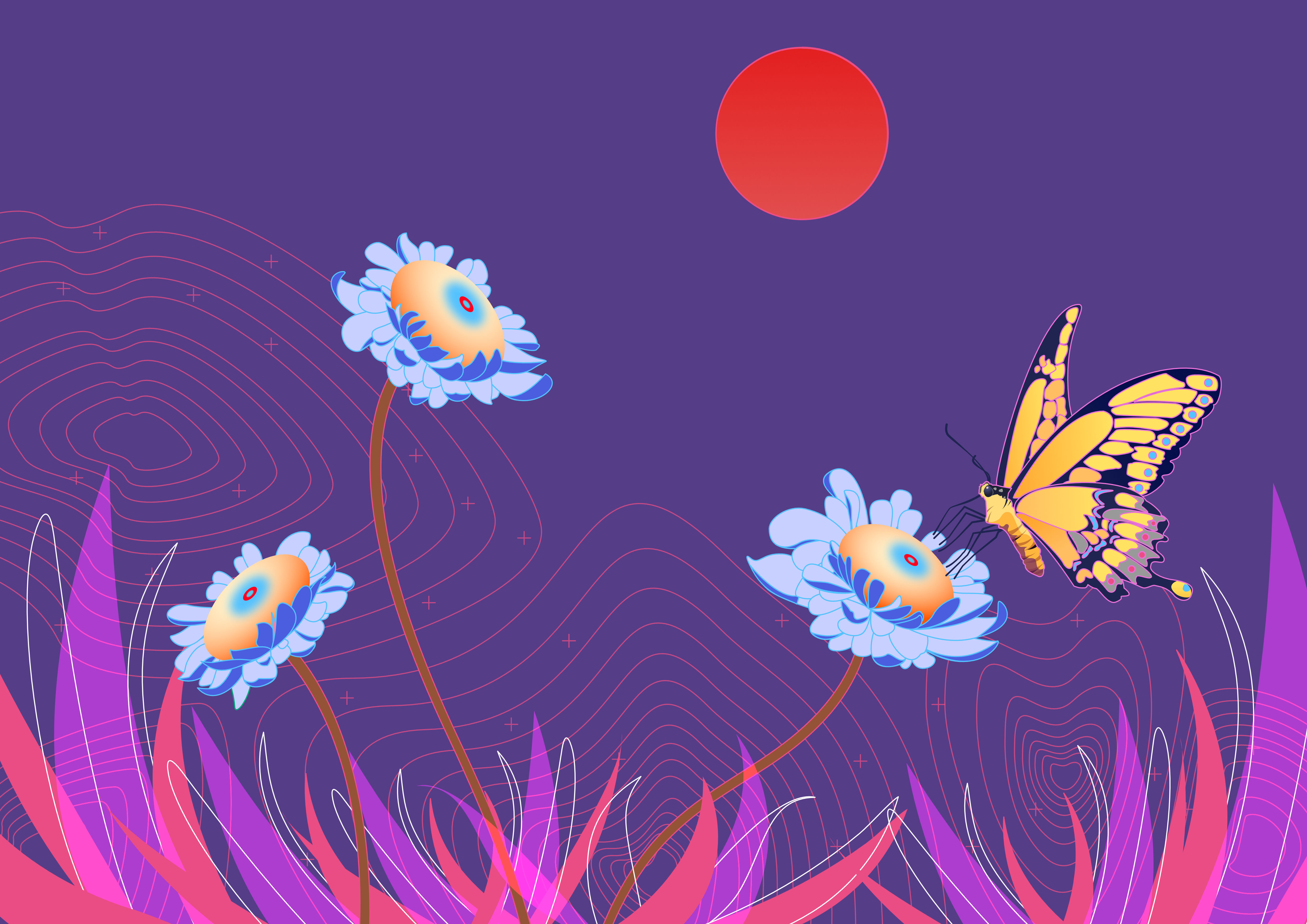 Butterfly, Pranav Tamang