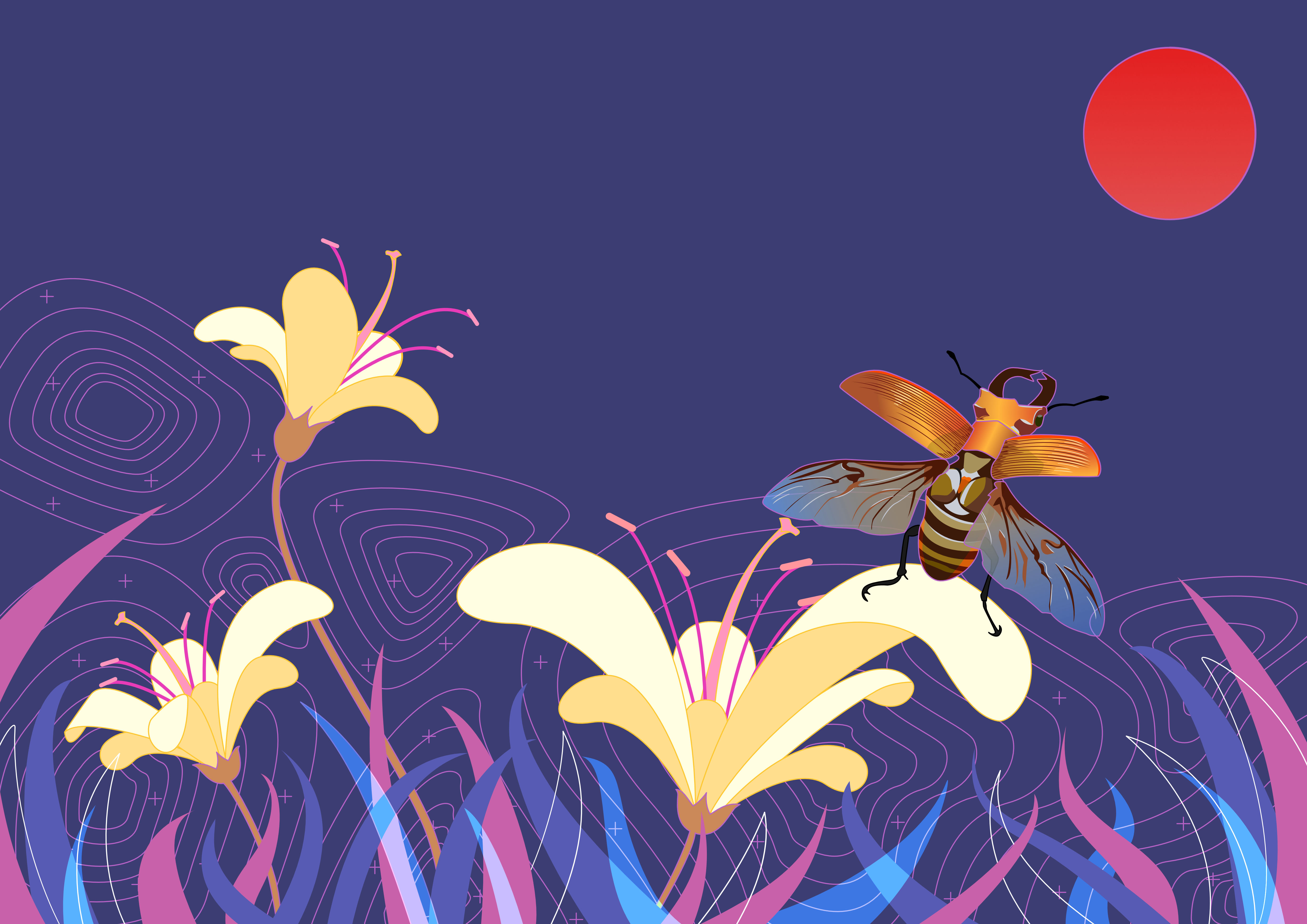 Beetle, Pranav Tamang