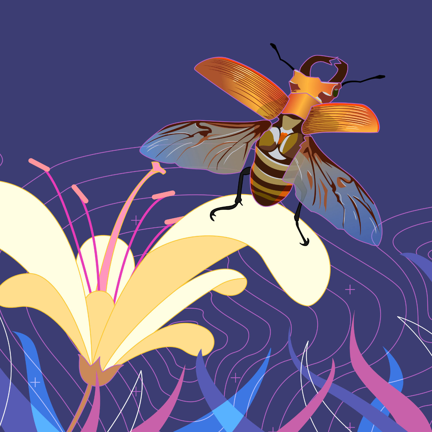 Bugs Series